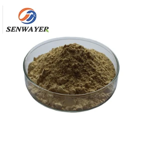 پودر مکمل عصاره Grains Of Paradise Aframomum Melegueta Powder